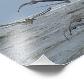 Pelikane über Foto (Ecke)