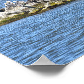 Pelikane und Kormorane und Dauphin Island Bridge Poster (Ecke)