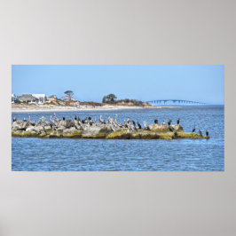 Pelikane und Kormorane und Dauphin Island Bridge Poster