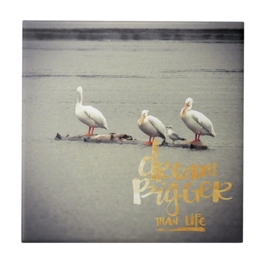 Pelikane und Seagull Dream Bigger Fliese (Vorderseite)