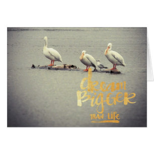 Pelikane und Seagull Dream Bigger Inspirierend