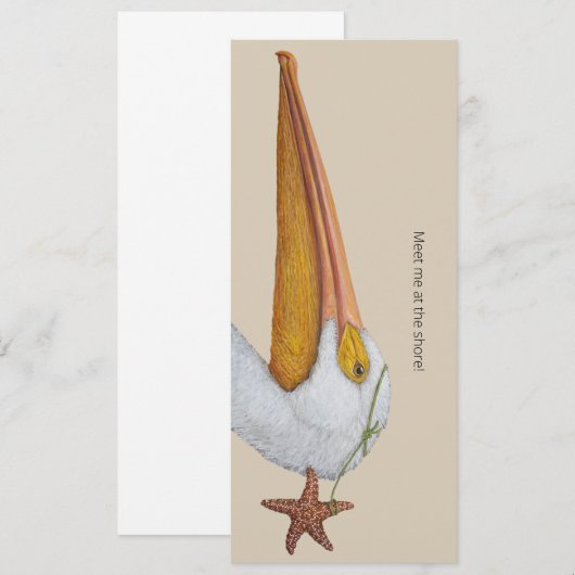 Pelikane und Seesternkarten (Vorne/Hinten)