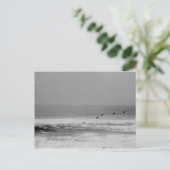 Pelikane und Wellen im Schwarz-Weiß-Postkartenform Postkarte (Stehend Vorderseite)