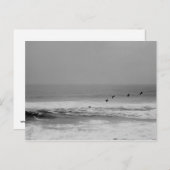 Pelikane und Wellen im Schwarz-Weiß-Postkartenform Postkarte (Vorne/Hinten)