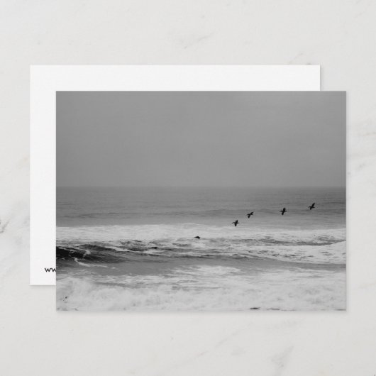 Pelikane und Wellen im Schwarz-Weiß-Postkartenform Postkarte (Vorne/Hinten)