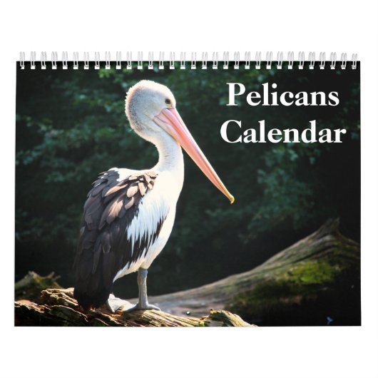Pelikane Vogel Kalender (Titelbild)