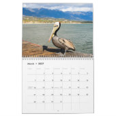 Pelikane Vogel Kalender (Mär 2027)