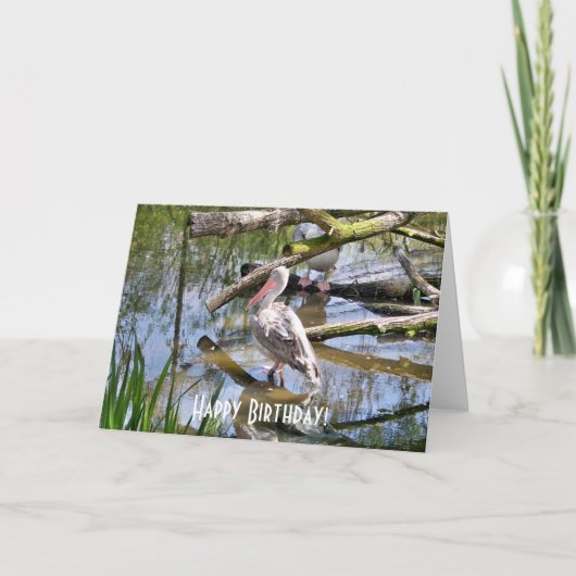 PELIKANER KARTE (Vorderseite)