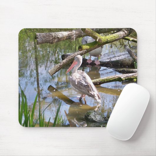 PELIKANER MOUSEPAD (Mit Mouse)