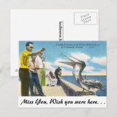 Pelikanfütterung in Florida Postkarte (Vorne/Hinten)