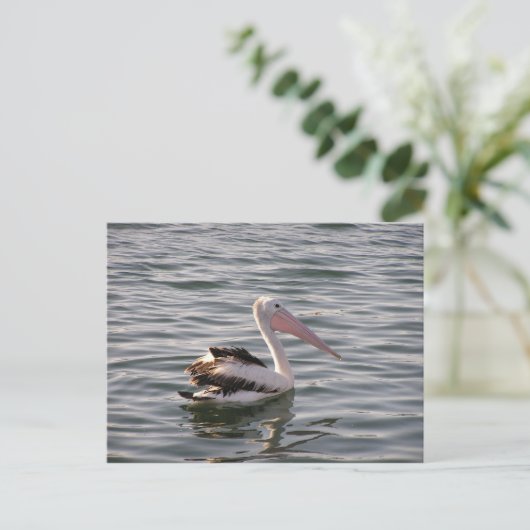 pelikanisch postkarte (Stehend Vorderseite)