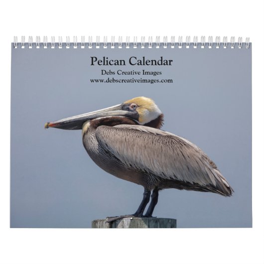 Pelikanischer Kalender 2026 (Titelbild)