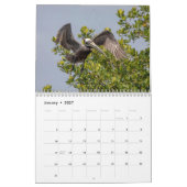 Pelikanischer Kalender 2026 (Jan 2027)