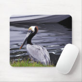 PelikanPoser Mousepad (Mit Mouse)