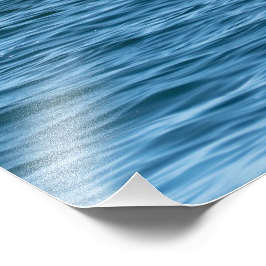 Pelikans Basking & Boat - Marina Del Rey, CA Foto (Ecke)