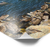 Pelikans Basking - Marina Del Rey, CA Fotodruck (Ecke)