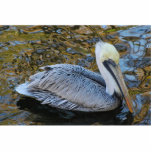 Pelikanskulptur Freistehende Fotoskulptur<br><div class="desc">Brown-Pelikan auf dem Wasser</div>