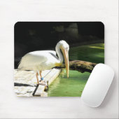 Pelikanvogel Mousepad (Mit Mouse)