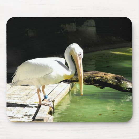 Pelikanvogel Mousepad (Vorne)