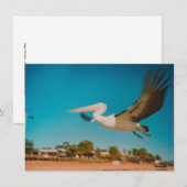 Pelikarte (Vorne/Hinten)