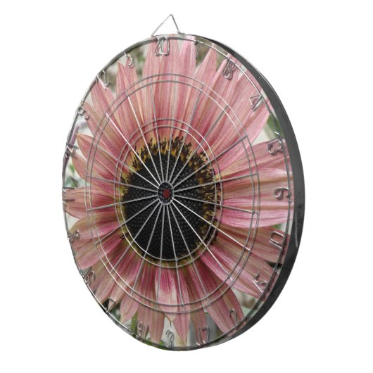 Pellrosa Sonnenblume Dartscheibe (Vorderseite rechts)