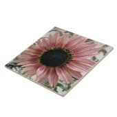 Pellrosa Sonnenblume Fliese (Seite)