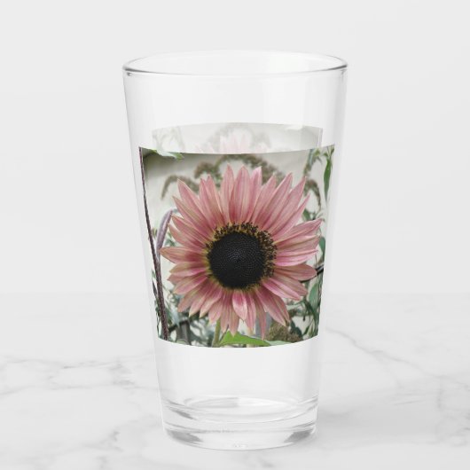 Pellrosa Sonnenblume Glas (Rückseite)