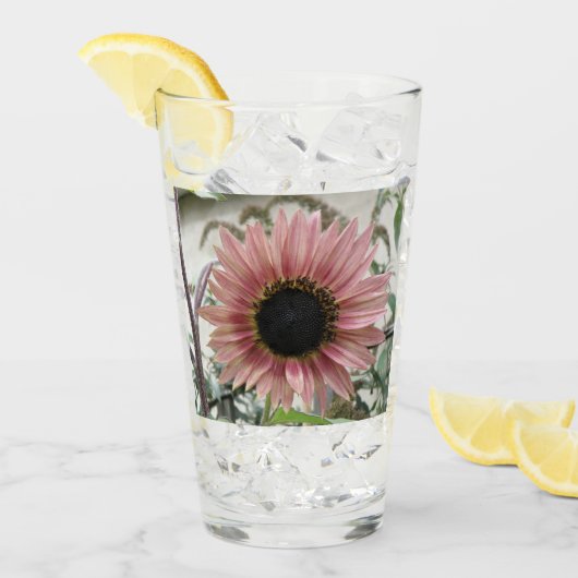 Pellrosa Sonnenblume Glas (Vorderseite Ice)