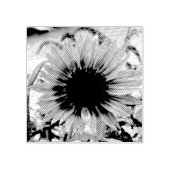 Pellrosa Sonnenblume Gummistempel (Prägung)