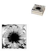 Pellrosa Sonnenblume Gummistempel (Stempel)