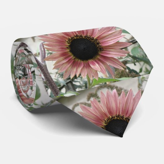 Pellrosa Sonnenblume Krawatte (Gerollt)