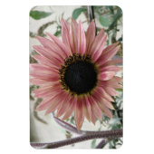 Pellrosa Sonnenblume Magnet (Vertikal)