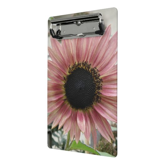 Pellrosa Sonnenblume Mini Klemmbrett (Gewinkelt2)