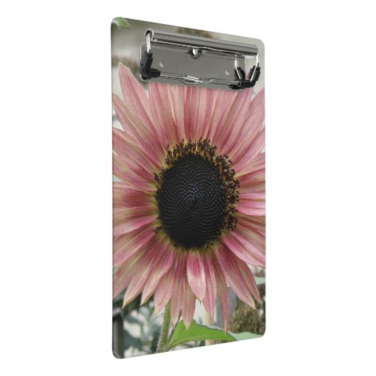 Pellrosa Sonnenblume Mini Klemmbrett (Schrägansicht)