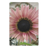 Pellrosa Sonnenblume Mini Klemmbrett (Rückseite)