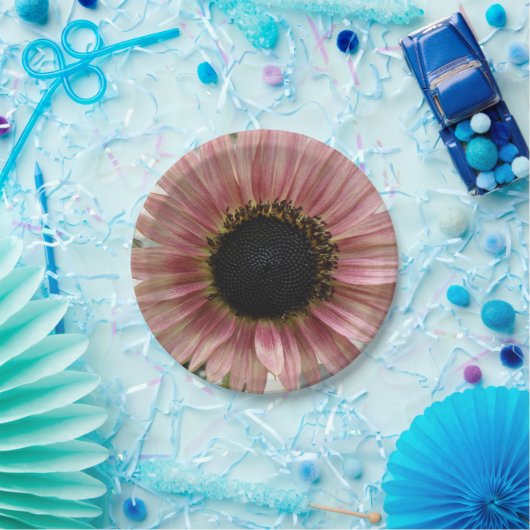 Pellrosa Sonnenblume Pappteller (Party)