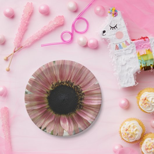 Pellrosa Sonnenblume Pappteller (Party)
