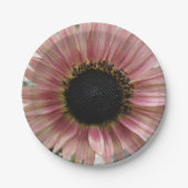 Pellrosa Sonnenblume Pappteller (Vorderseite)
