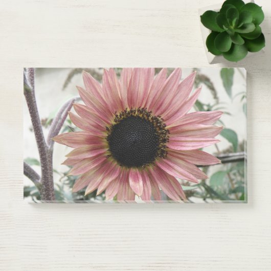 Pellrosa Sonnenblume Post-it Klebezettel (Büro)