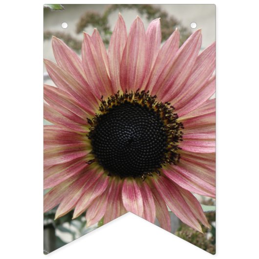 Pellrosa Sonnenblume Wimpelkette (Zweite Fahne)