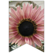 Pellrosa Sonnenblume Wimpelkette (Erste Fahne)