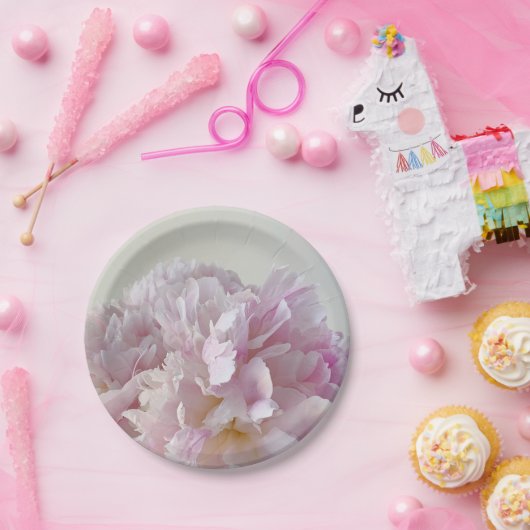 Pellrosa Tornopfplatte Pappteller (Party)