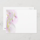 Pellrosa Watercolor Wash Postkarte (Vorne/Hinten)