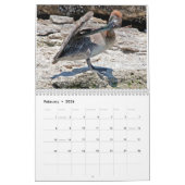"Pelly - ein Sommer auf dem Eriesee" Wandkalender (Feb 2026)
