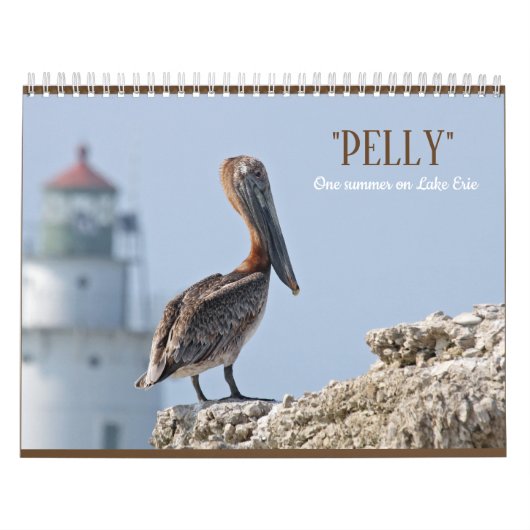 "Pelly - ein Sommer auf dem Eriesee" Wandkalender (Titelbild)