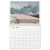 "Pelly - ein Sommer auf dem Eriesee" Wandkalender (Mär 2027)