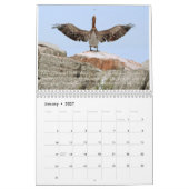 "Pelly - ein Sommer auf dem Eriesee" Wandkalender (Jan 2027)