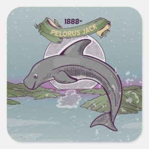 Pelorus Jack Risso-Dolphin Quadratischer Aufkleber