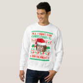 Pelosi:Alles, was ich zu Weihnachten gewollt habe, Sweatshirt (Vorne ganz)