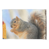 Pelotball Kissenbezug (Vorderseite)